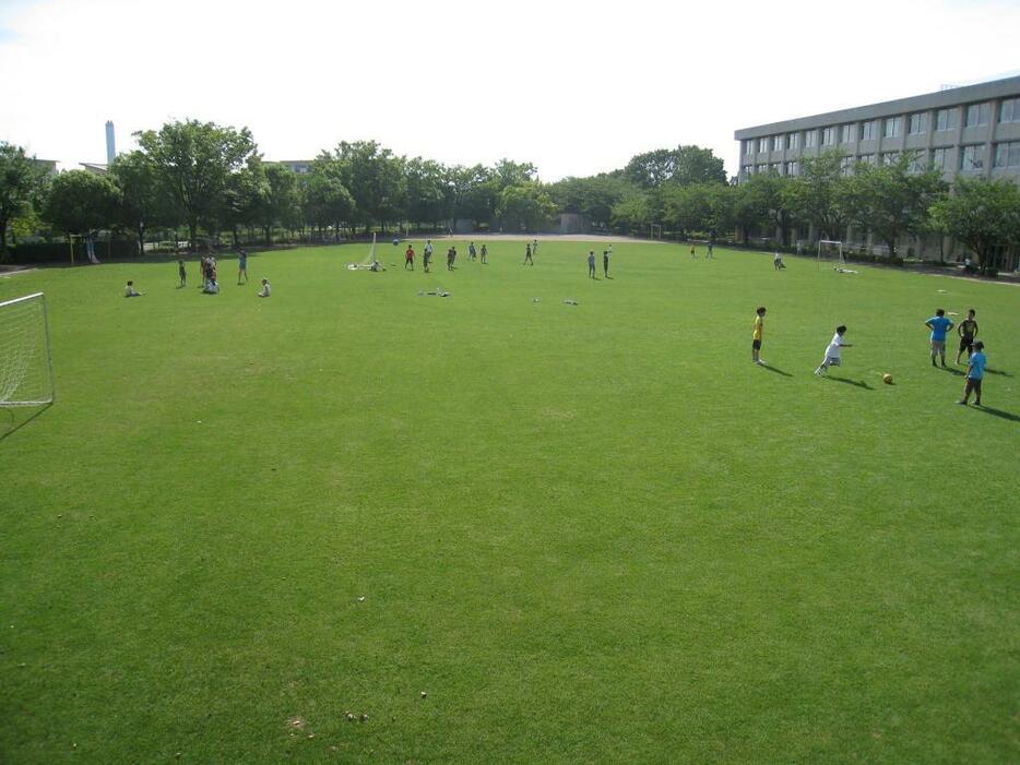 [写真]東京都多摩市内の小学校の校庭。全面的に芝生化されたグラウンドは、美観的にも美しく、授業以外にもさまざまな利用がされている（提供：東京都教育庁）