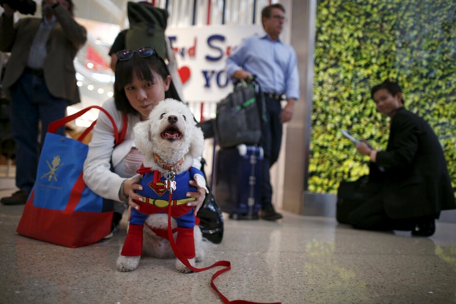 空港にあらわれた「スーパーマン」＝2015年10月27日（写真：ロイター/アフロ）