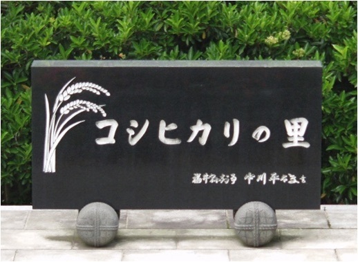 福井県農業試験場の敷地内にある「コシヒカリの里」と書かれた石碑（提供：福井県）