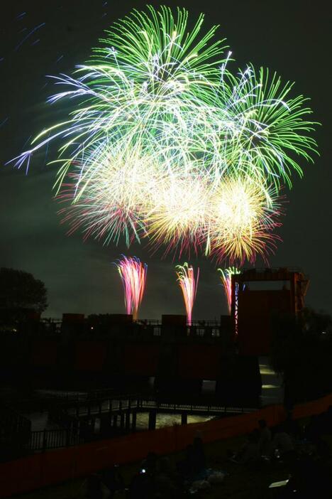 夜空を彩る花火（北区提供）