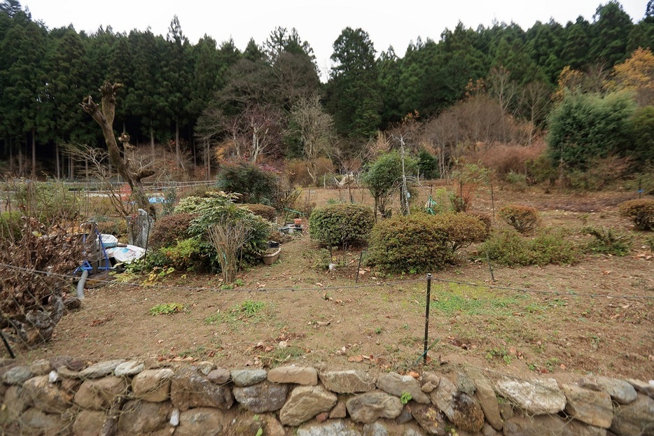 山間の民家にはときおりシカなどが出没し、庭や畑を荒らしていくという