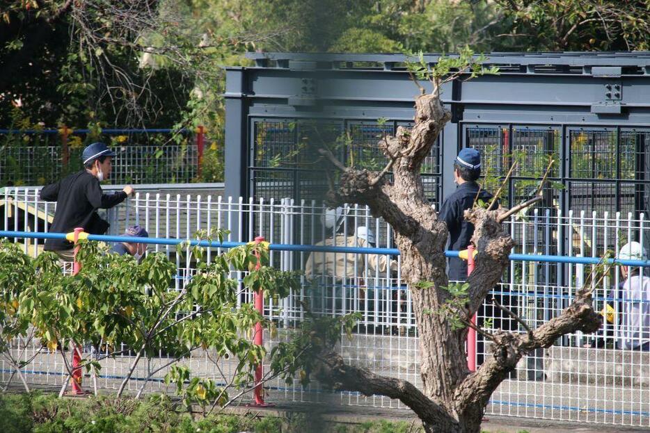 ［写真］17日午前、チンパンジーが脱走し天王寺動物園は休園。同日午後1時半ごろ、捕獲されたという＝17日午後1時40分ごろ、大阪市天王寺区で