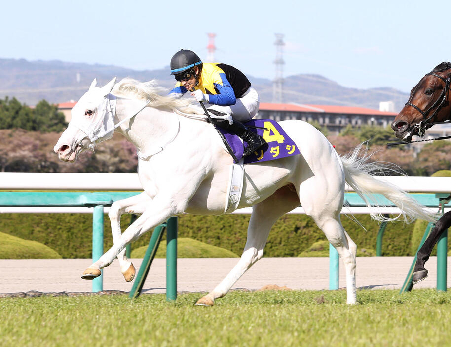 今日オークス！“白馬のヒロイン”ソダシは史上3頭目の無敗の牝馬2冠を果たせるのか？(写真・日刊スポーツ／アフロ）