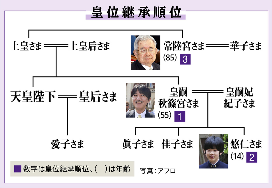 （図版：ラチカ）