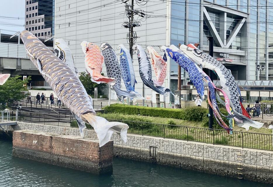 ［写真］堺駅前の川で元気に泳ぐこいのぼり＝4日午後4時ごろ、大阪府堺市堺区で