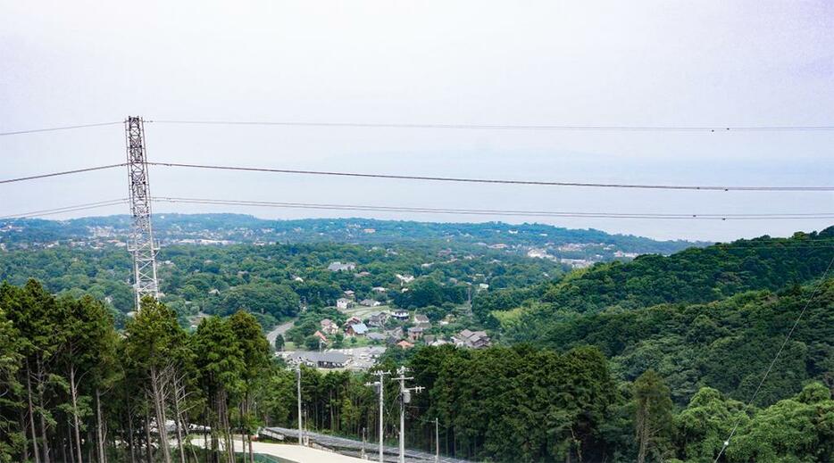 メガソーラー開発が計画されている伊東市八幡野地区の山地