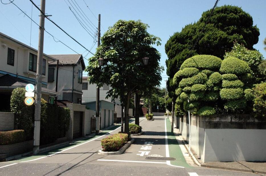 住宅地・常盤台を取り囲むように配置された散歩道・プロムナード。道路中央はプラタナス・イチョウが植えられている。また、個々の住宅でも積極的に緑化に取り組んでいる