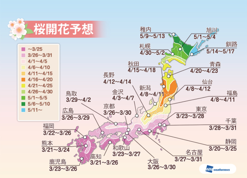 [図]2015年、全国の桜開花予想（提供：ウェザーニューズ）