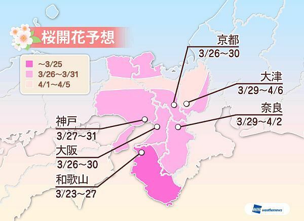 [図]2015年、近畿地方の桜開花予想（ウェザーニューズ提供）