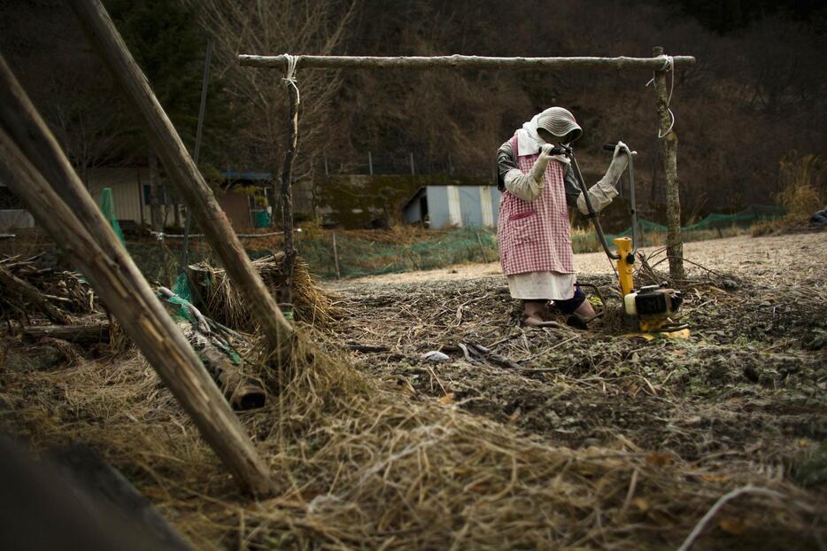 住民より人形が多い村 徳島県の集落が話題に＝2015年3月16日（ロイター/アフロ）