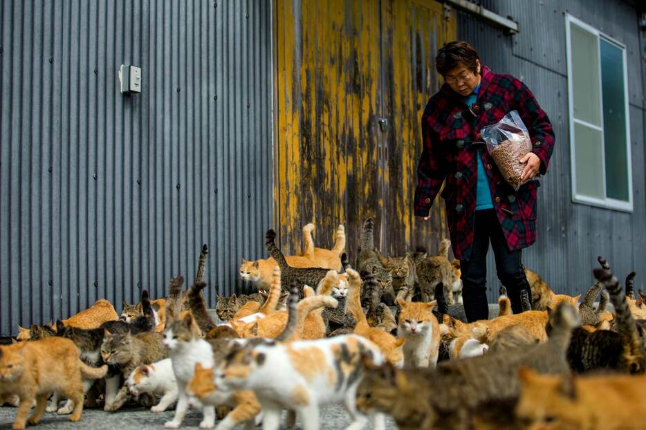 猫に囲まれた女性（ロイター/アフロ）