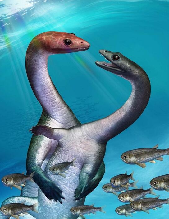 ケイチョウサウルスの雄と雌の想像図（イラストレーター・Takumiさん提供）