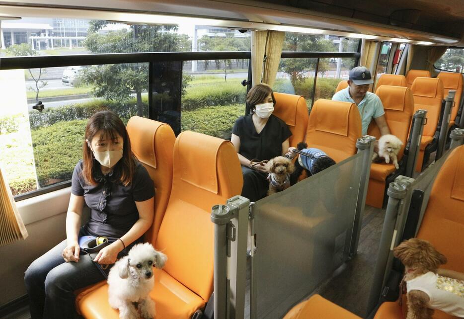 犬と一緒に乗れる専用のバス＝6月、東京都大田区