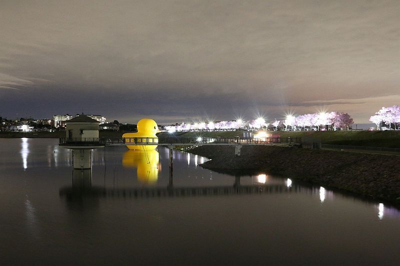 [写真]夜間ライトアップはなにか幻想的な雰囲気に包まれている＝4日夜、大阪狭山市で