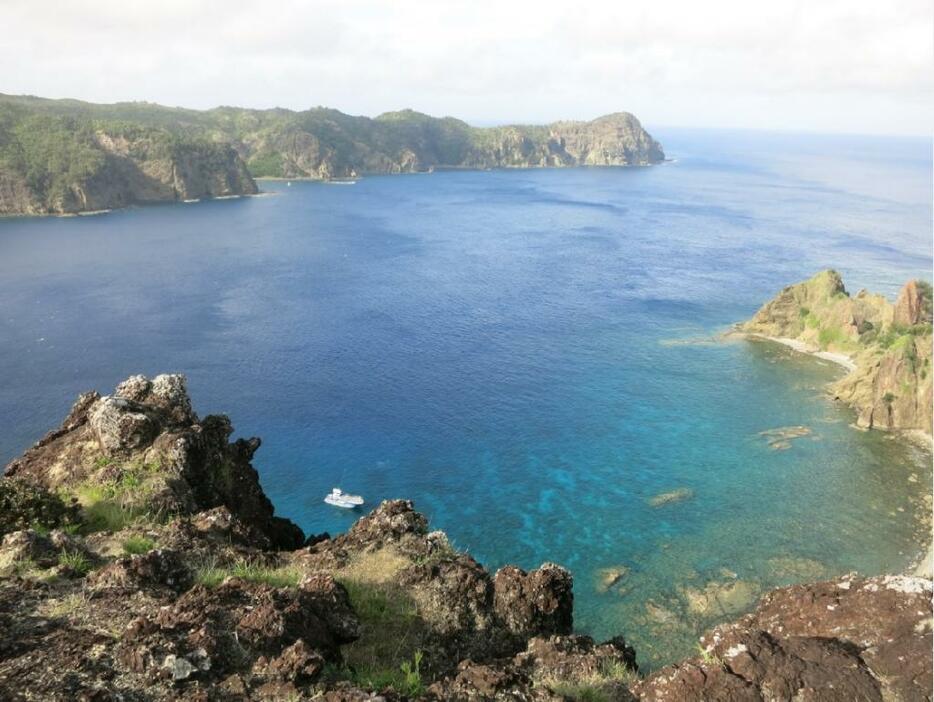 東洋のガラパゴスと呼ばれる小笠原諸島にも異変が