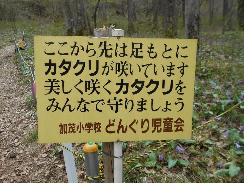 [写真]「大切に」と呼び掛ける加茂小学校児童会の看板