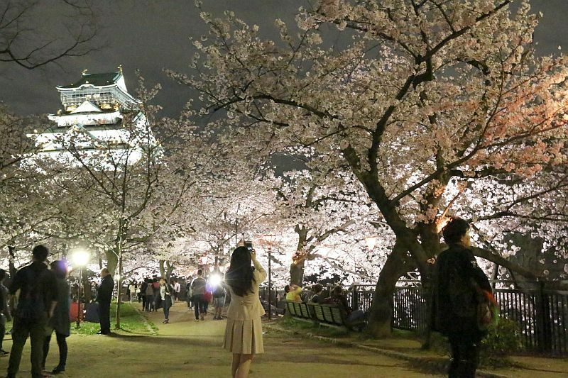 [写真]花見客でにぎわう大阪城の西の丸庭園=3日午後8時すぎ、大阪市中央区で