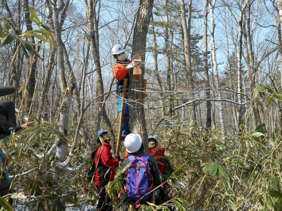 [写真]はしごの上で巣箱を取り付ける生徒（戸隠高原）