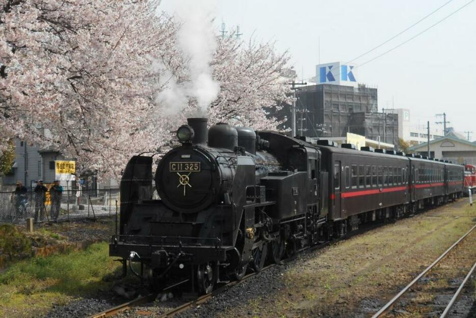 [写真]本線に入る準備中のSL列車（9日、真岡鉄道）