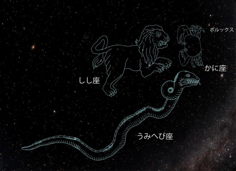 ヘラクレスの敵、悪役が夜空に勢ぞろい（写真提供：葛飾区郷土と天文の博物館）