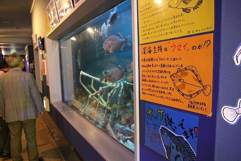 [写真]タッチングプールで深海生物のダイオウグソクムシを手にする子どもたち（愛知県蒲郡市で）