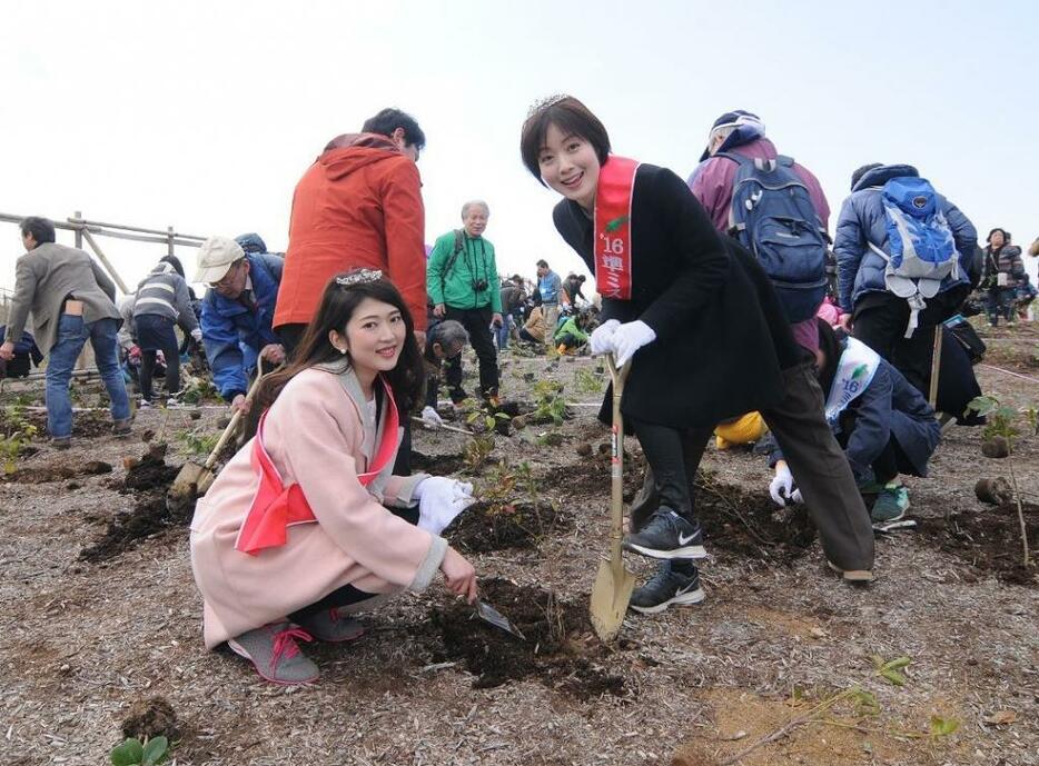 [写真]参加者に混じって植樹で汗を流した「準ミス日本」谷本英理子さん（右）と「ミス日本ミス着物」織茂璃穏さん