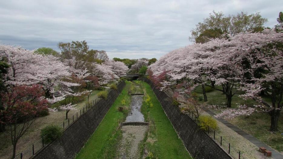 [写真]国営昭和記念公園を俯瞰