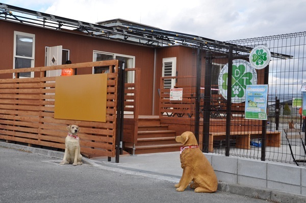[写真]入口で出迎える2頭の犬のモニュメントが目印
