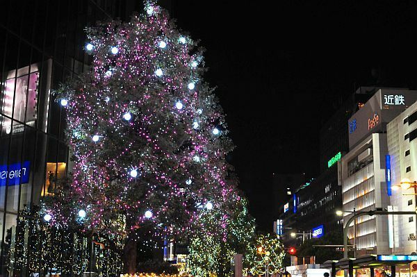 [写真]名古屋駅前の街路樹を彩るイルミネーション。風に揺れる姿も美しい