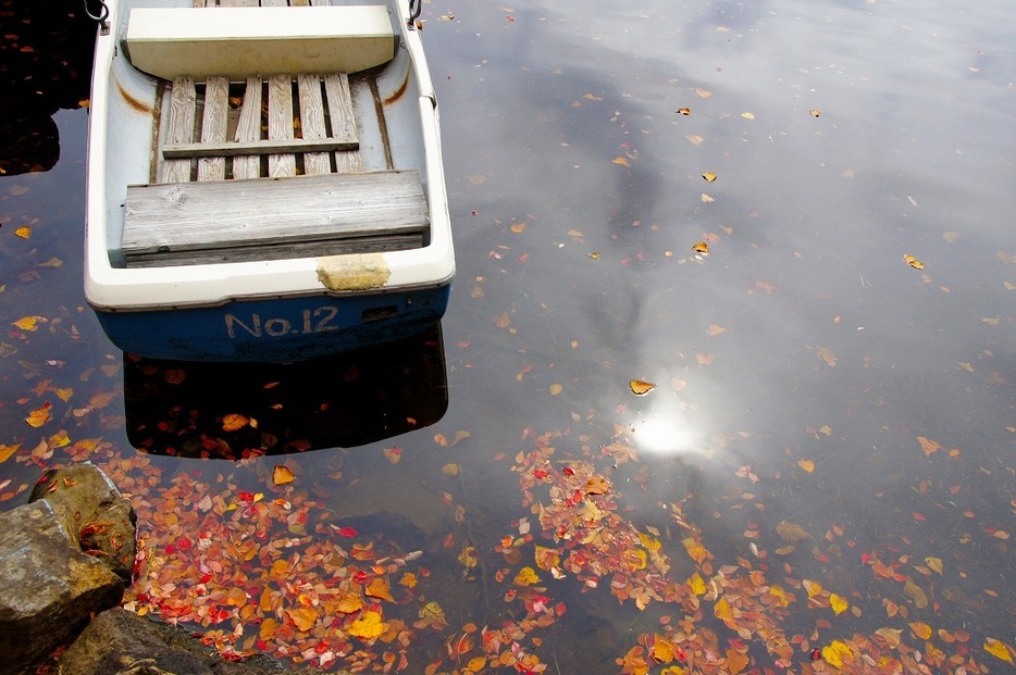 [写真]紅葉の名所、長野・白駒の池の紅葉（N君の最高傑作）