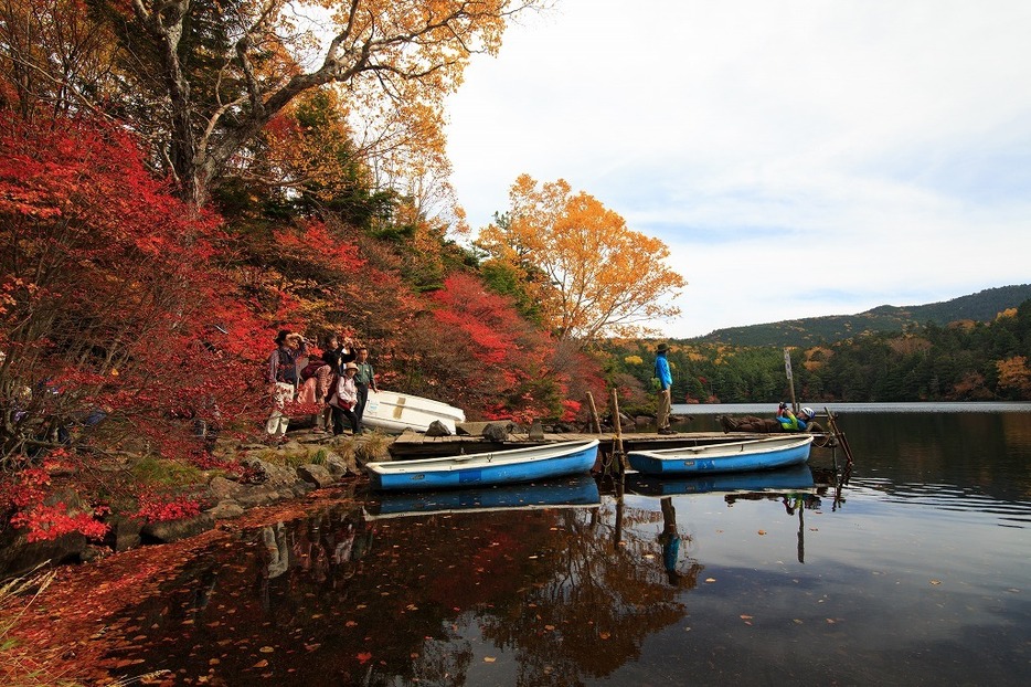 [写真]紅葉の名所、長野・白駒の池の紅葉。「ランドスケープ・スナップ」的に撮った1枚