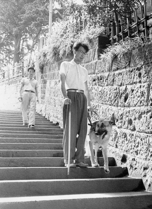 [写真]1957年の我が国初の盲導犬の歩行指導の様子。河相洌さんとチャンピイを後方で見守るのは“日本の盲導犬の父”塩屋賢一