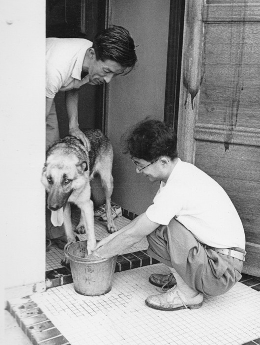 [写真]チャンピイの足を洗う河相洌さんとそれを指導する塩屋賢一。60年前から「犬の世話と手入れは使用者自身で」というモットーが徹底されている