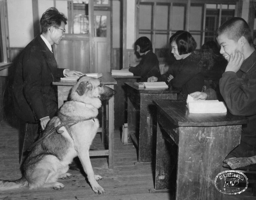 [写真]盲学校の教室での河相洌さんとチャンピイ。最初の赴任地の彦根ではこのように一緒に登校できたが、転勤先の浜松ではバス乗車ができなかったため、チャンピイは自宅で待機せざるを得なかった