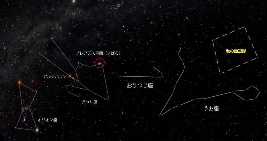 わかりやすい星の並びから探してみよう（写真提供：葛飾区郷土と天文の博物館）