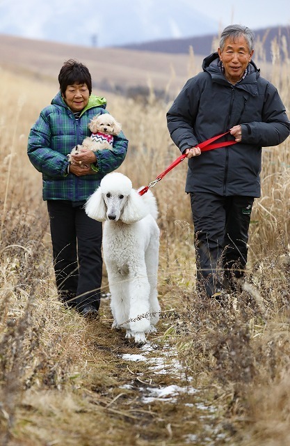 [写真]「犬なしの生活は考えられない」という根っからの愛犬家の小川夫妻