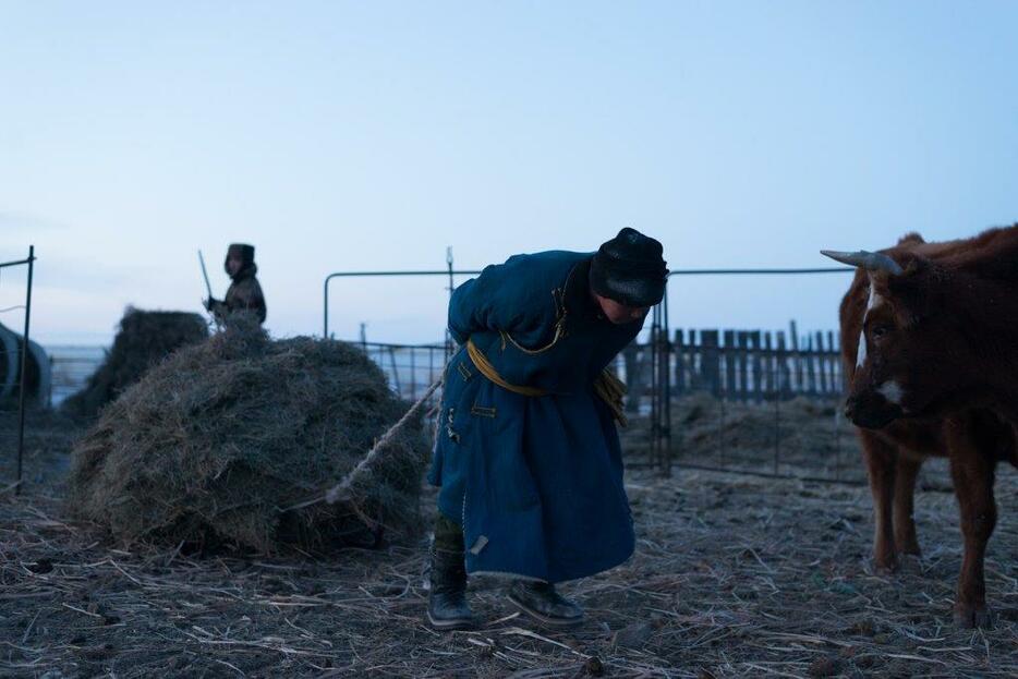 100キロ以上ある草を鉄製のソリに乗せて引っ張っている。これが家畜の夕飯になる＝フルンボイル市・シニバルグバロン・ホショー（2018年2月撮影）
