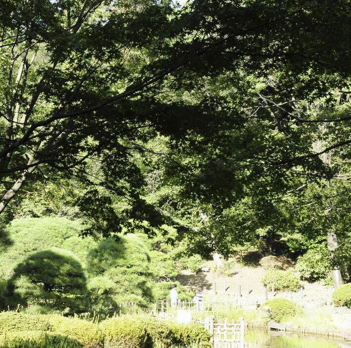 [イメージ]江戸時代末期、日本を訪れた外国人は緑の多さに感動したようです（写真：ペイレスイメージズ/アフロ）