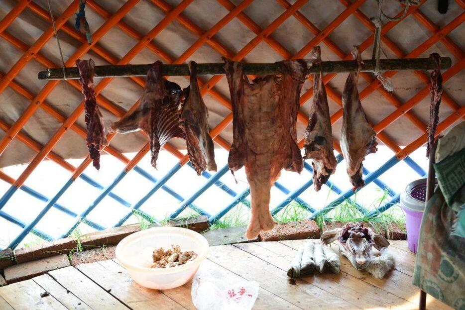 羊肉を部位ごとにばらし、風通しの良いところにおいて、乾燥させる。冷蔵庫の普及により、この習慣もなかなか見られなくなっている＝フルンボイル市・シニバルグバロン・ホショー（2015年8月撮影）