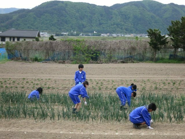 [写真]畑で作業する県外の中学生（FBから）