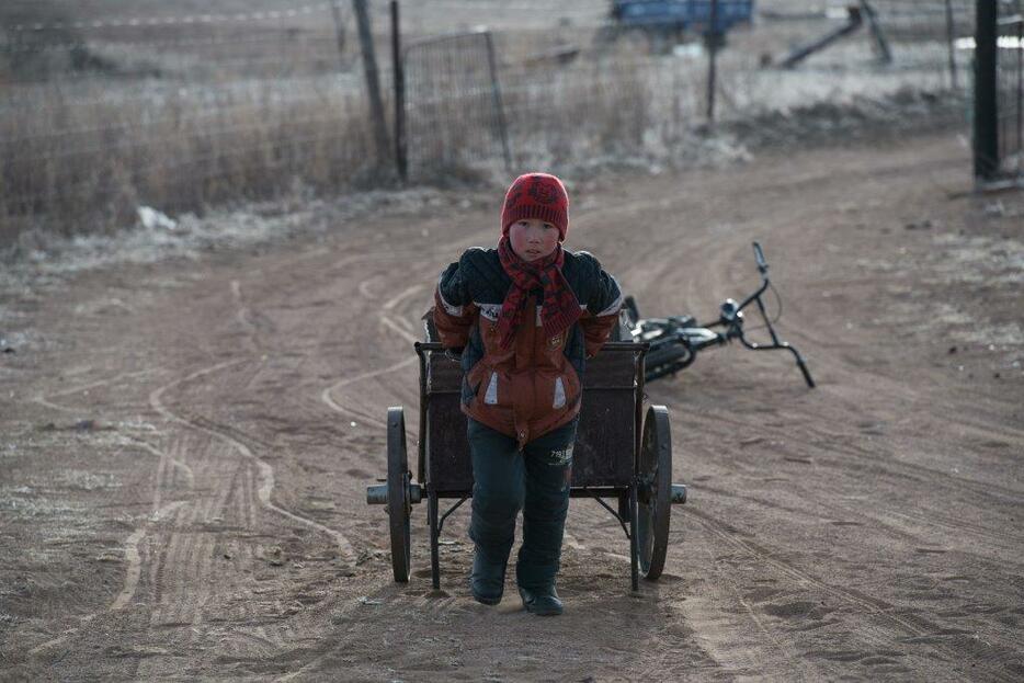 冬休みに両親を手伝って牛の糞を集め、二輪車で運ぶ。気温はマイナス20度＝シリンゴル盟・アバガ・ホショー（2014年1月撮影）