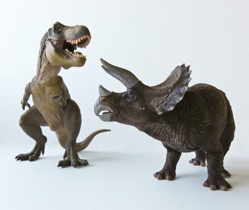二つの恐竜の主要グループを代表する肉食の獣脚類と草食の鳥盤目（角竜）。この二つのグループはいつ頃どのようにして進化上、分岐したのだろうか？（写真：アフロ）