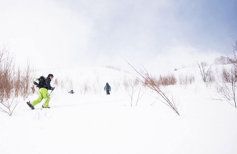 エリア内に入山するバックカントリー愛好家たち　写真：佐藤慧