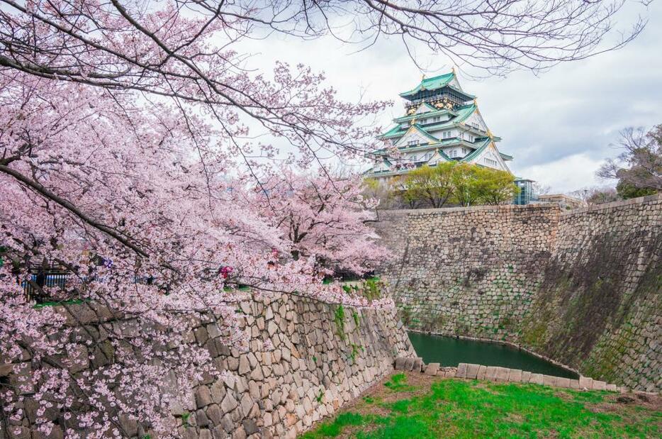 【イメージ】満開の桜と大阪城。人口減少への対応として観光客増につながる大阪の歴史や自然環境を生かしたまちづくりに取り組む（写真:アフロ）