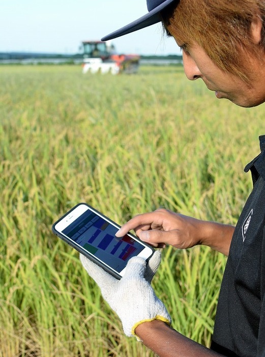 [写真]スマホ画面に作業データを入力する鍋八農産の若手従業員