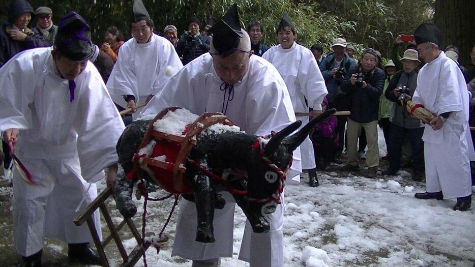 [写真]牛とともに場内を巡った「お田植え祭り」