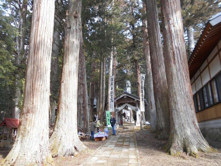 [写真]太い杉に囲まれた刈谷澤神明宮