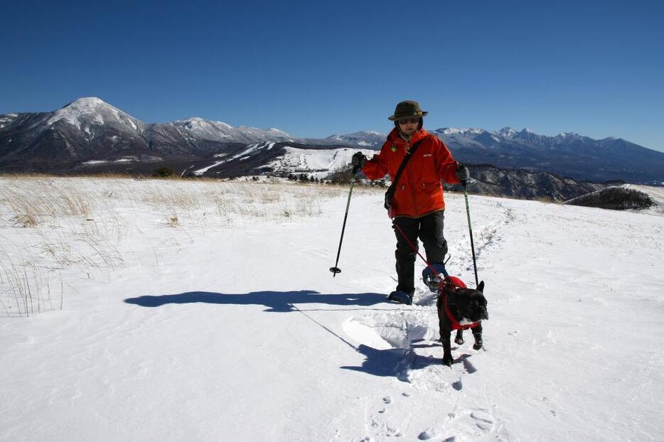 [写真]犬を連れて登山や山歩きをすることについては、今も賛否両論ある