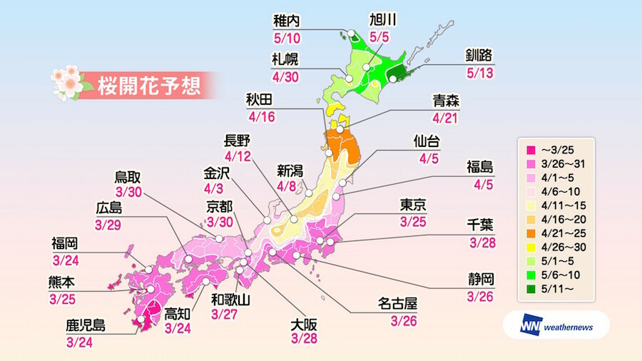 全国の桜開花予想（提供：ウェザーニューズ）