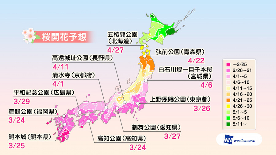 全国の桜の名所開花予想（提供：ウェザーニューズ）